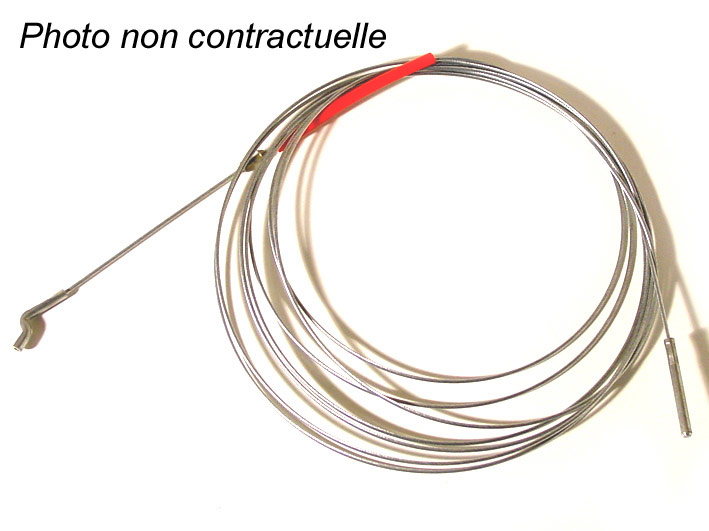 immagine in vetrina